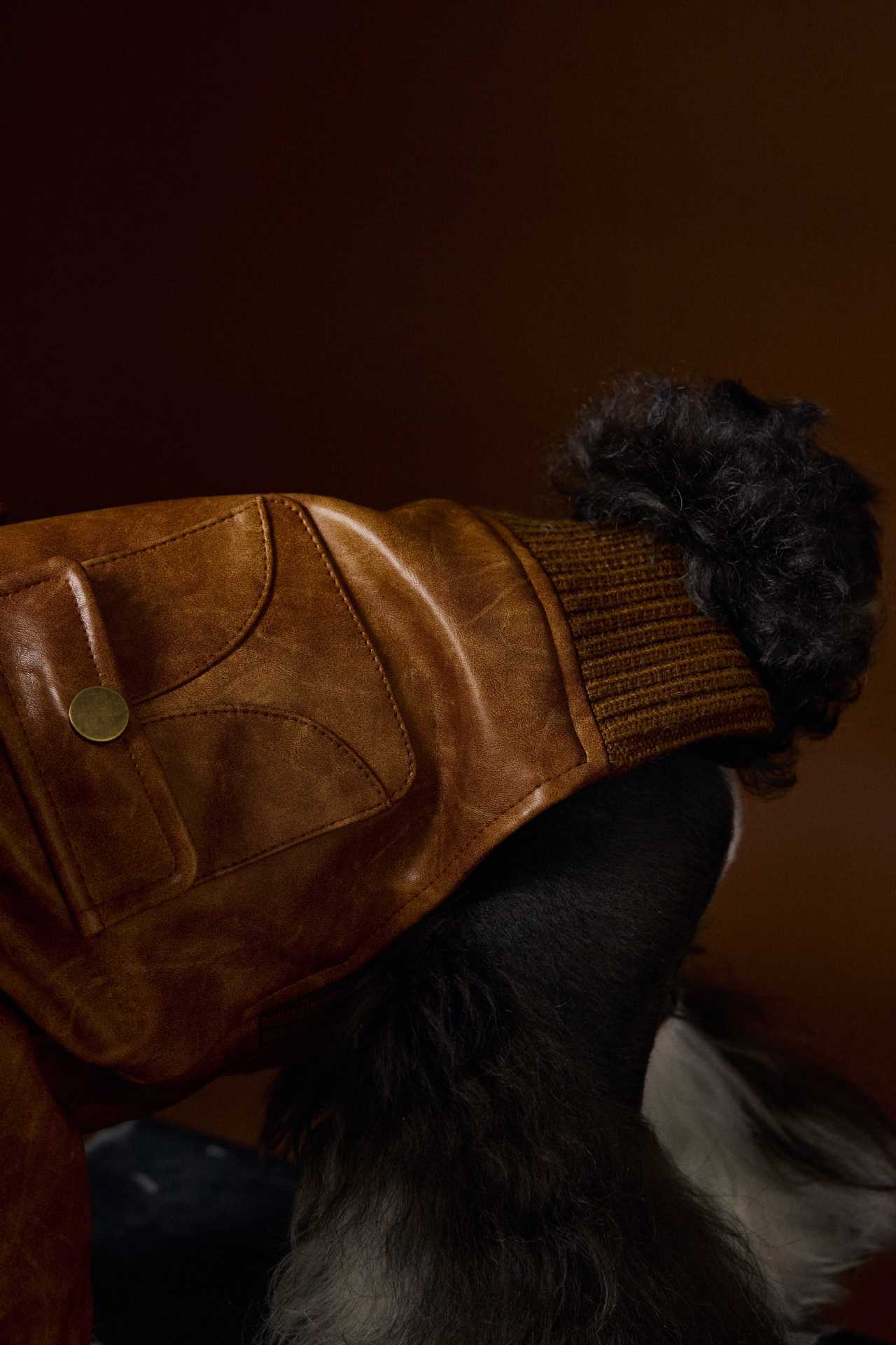 HKM-733843 Retro Style Long Sleeve Leather Coat for Schnauzer and Bichon - Brown, Multiple Sizes Available