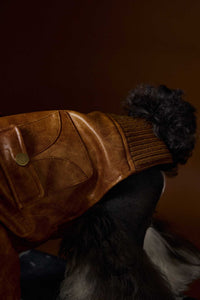HKM-733843 Retro Style Long Sleeve Leather Coat for Schnauzer and Bichon - Brown, Multiple Sizes Available