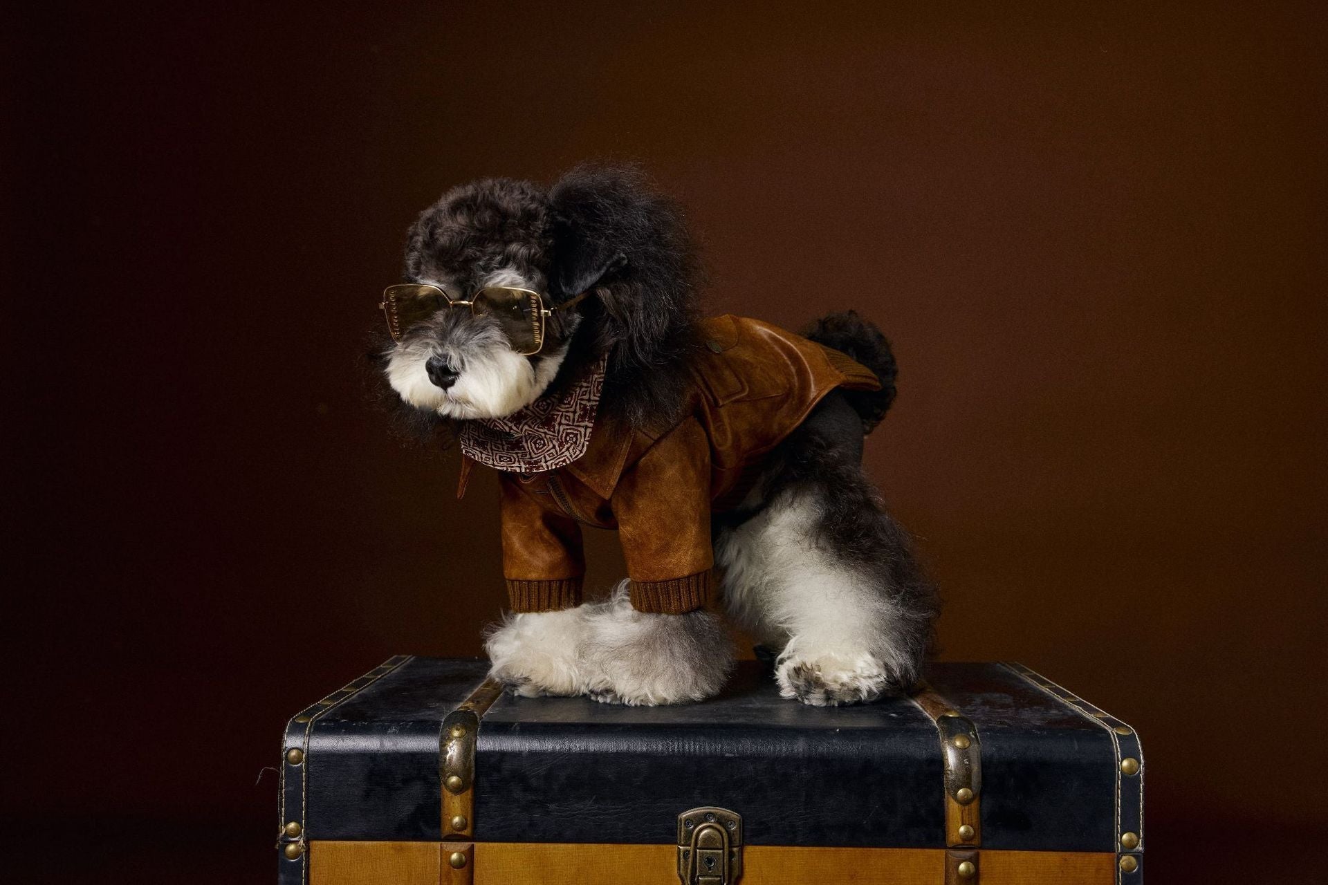 HKM-733843 Retro Style Long Sleeve Leather Coat for Schnauzer and Bichon - Brown, Multiple Sizes Available