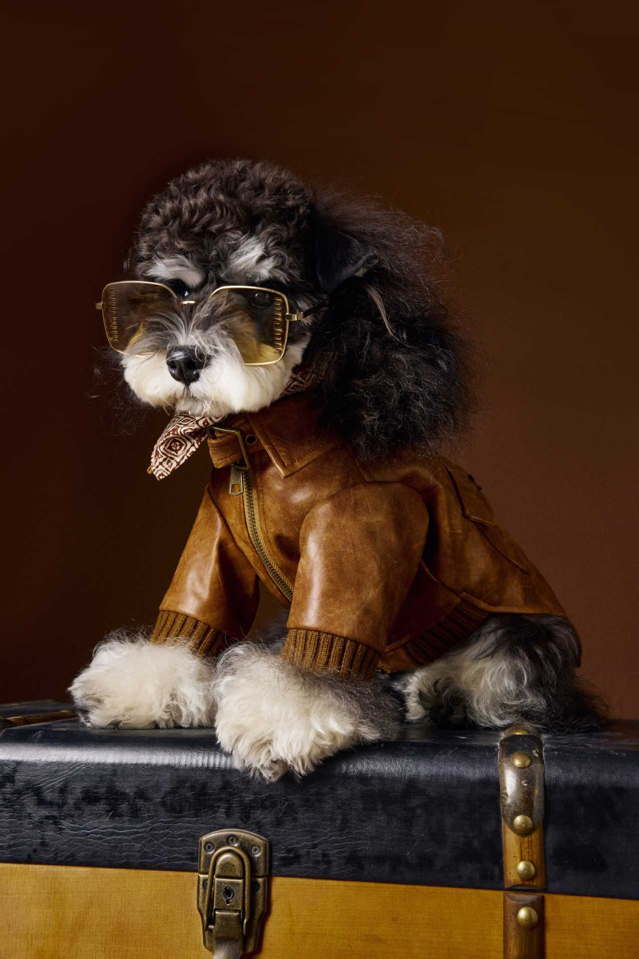 HKM-733843 Retro Style Long Sleeve Leather Coat for Schnauzer and Bichon - Brown, Multiple Sizes Available