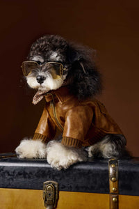 HKM-733843 Retro Style Long Sleeve Leather Coat for Schnauzer and Bichon - Brown, Multiple Sizes Available