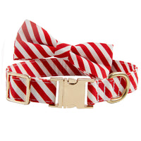 HKM-736211 Dog Collar Lettering Collar Anti-lost Collar