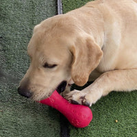 HKM-737107 Red Feet Pet Leaking Toy