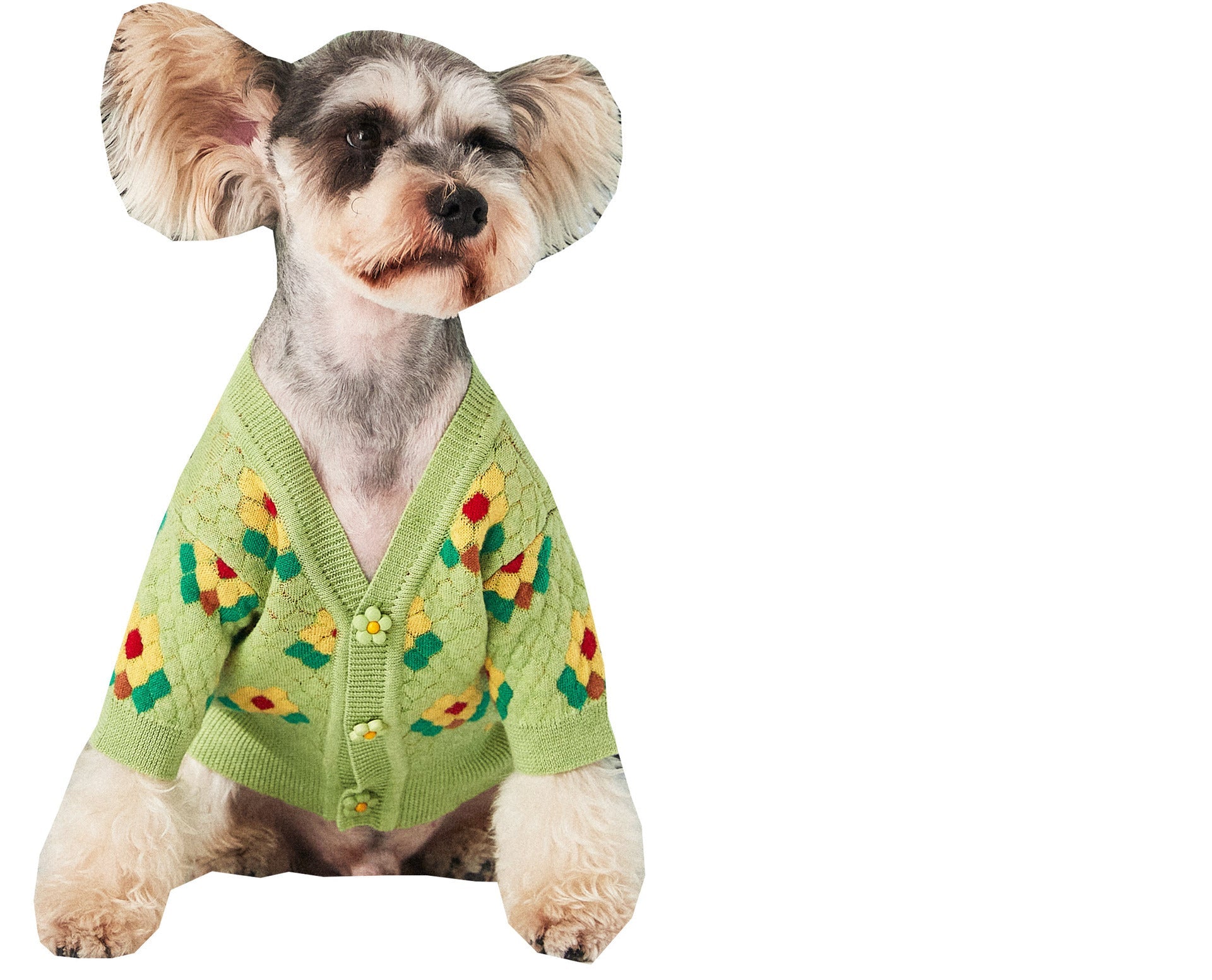 HKM-737235 Cozy Wool Flower Dog Sweater Cardigan in Blue and Green - Casual Style for Small Dogs