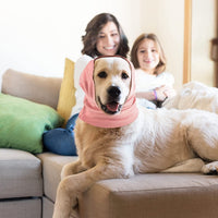 HKM-737363 Soft Cotton Pet Ear Muffs for Dogs and Cats – Anti-Noise, Warm and Comfortable, Available in Pink, Black, and Purple