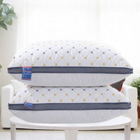 HKM-737811 Cervical Spine Health Care Pillow with Variety of Designs and Adjustable Heights