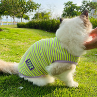 HKM-738387 Breathable Striped Vest for Small Dogs and Cats in Fluorescent Green and Pink