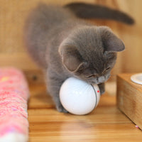 HKM-740563 USB laser funny cat toy