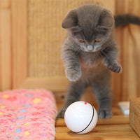 HKM-740563 USB laser funny cat toy