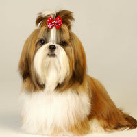 HKM-740627 Pet Hair Bow Accessories with Rubber Band - 50pcs Flower Head for Dogs and Cats