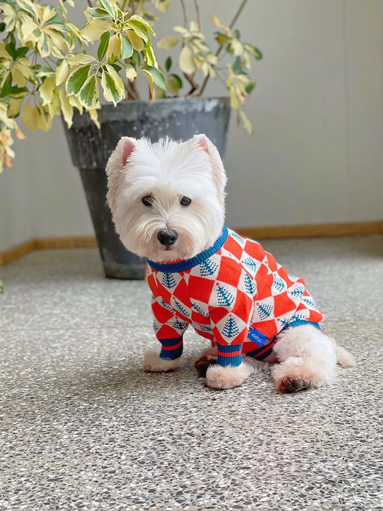 HKM-742675 Cozy Orange Wool Sweater for Cats and Dogs - Winter Fashion for Pets
