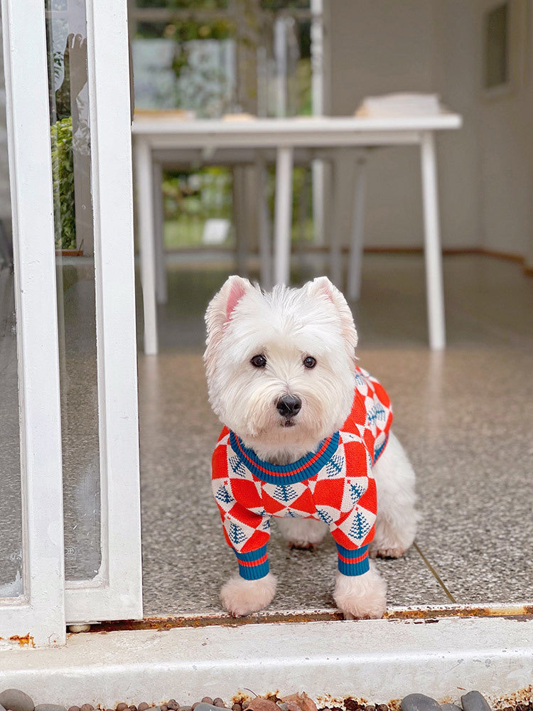 HKM-742675 Cozy Orange Wool Sweater for Cats and Dogs - Winter Fashion for Pets