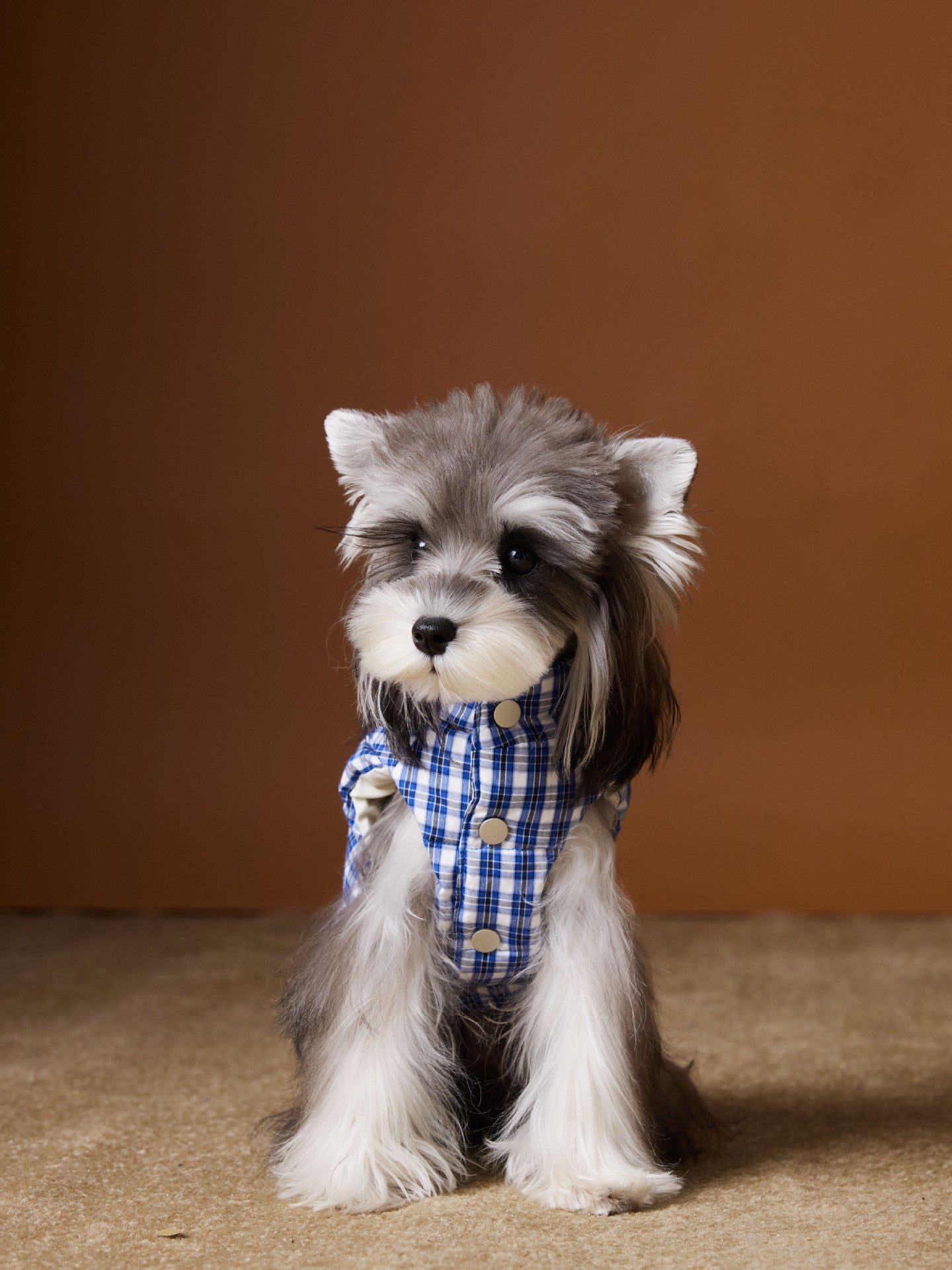 HKM-745043 Blue Plaid Down Vest for Dogs - Warm and Casual Pet Clothing, Sizes XS to XXL