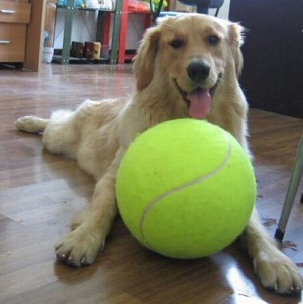 HKM-745171 Dog Durable And Fun Rubber Molar Tennis
