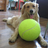HKM-745171 Dog Durable And Fun Rubber Molar Tennis