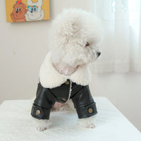 HKM-745363 Fleece-Lined Padded Pet Coat in Black, Beige, and Suede Leather Options