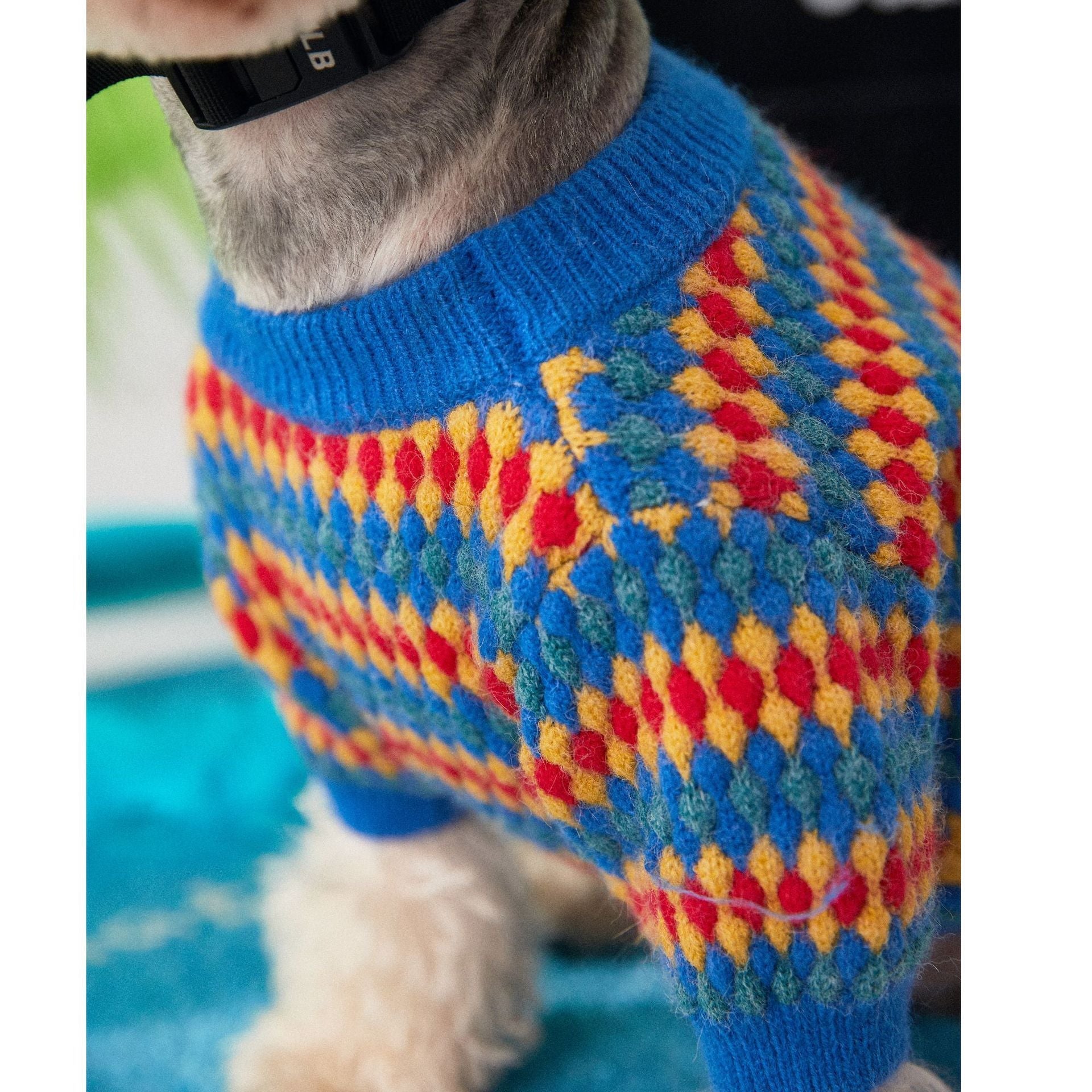 HKM-748115 Cozy Casual Round Neck Dog Sweater - Blue Wool for Autumn and Winter