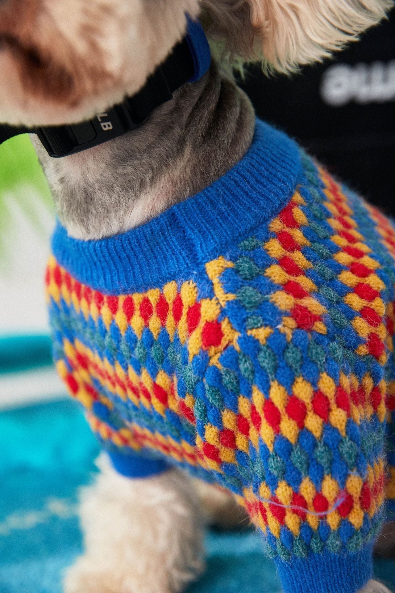 HKM-748115 Cozy Casual Round Neck Dog Sweater - Blue Wool for Autumn and Winter