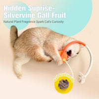 HKM-748691 Sisal Rope Cat Chew Toys with Silvervine for Dental Care and Indoor Play
