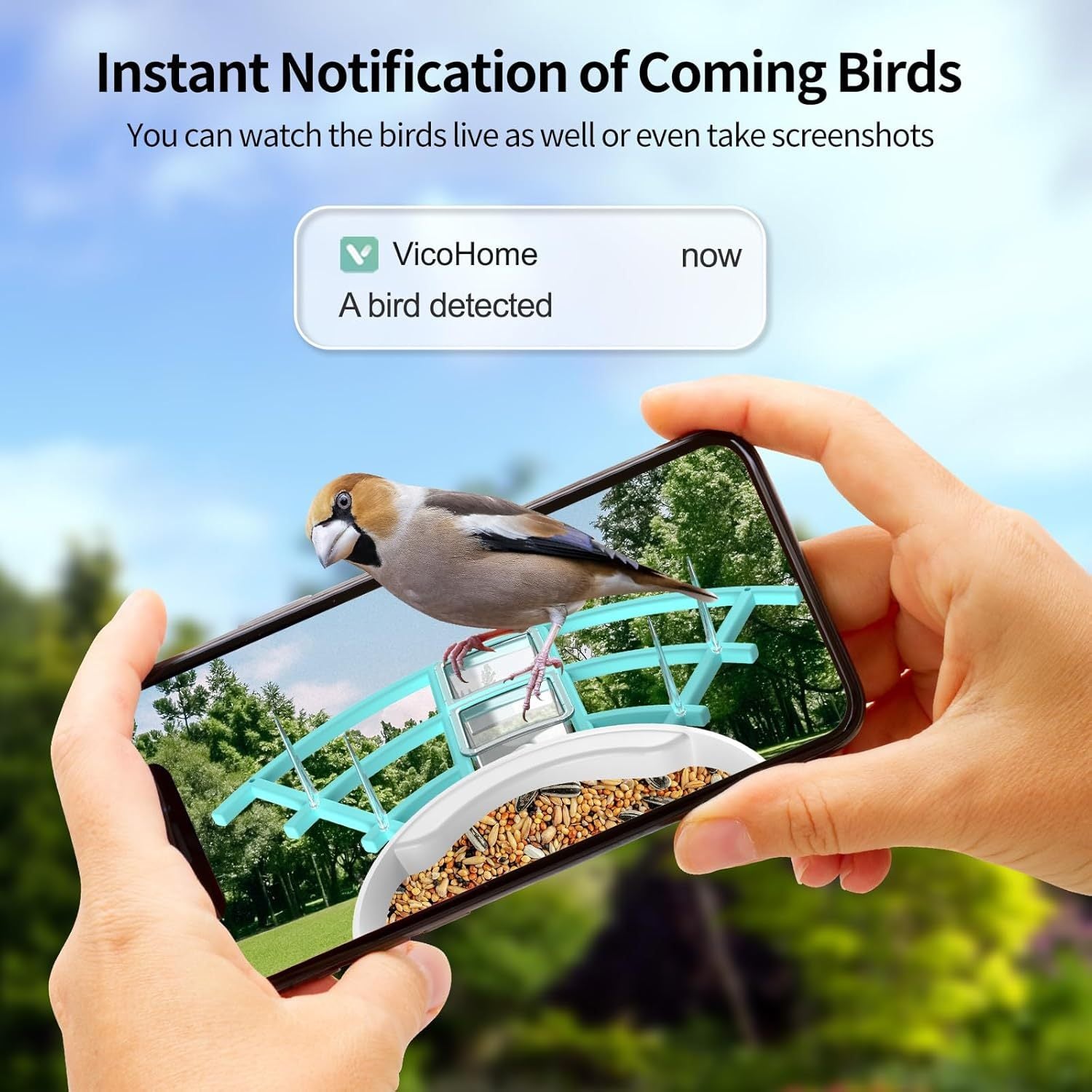 HKM-750099 Smart Bird Feeder with AI Bird Identification and Solar-Powered 2K Video Recording