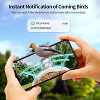 HKM-750099 Smart Bird Feeder with AI Bird Identification and Solar-Powered 2K Video Recording