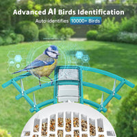 HKM-750099 Smart Bird Feeder with AI Bird Identification and Solar-Powered 2K Video Recording