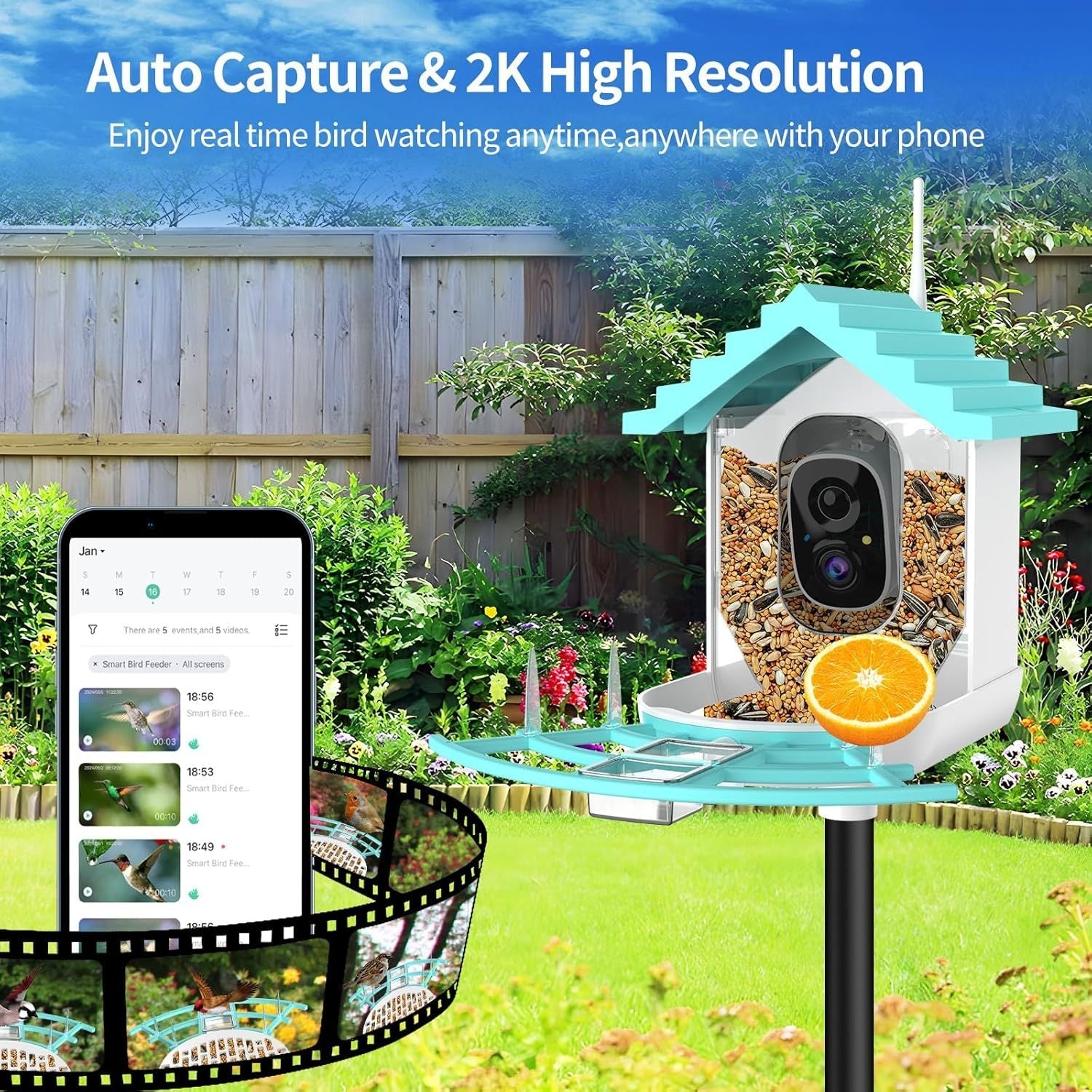 HKM-750099 Smart Bird Feeder with AI Bird Identification and Solar-Powered 2K Video Recording