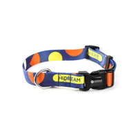 HKM-752147 Durable Polyester Dog Collar Leash with Metal Fittings and High-Strength Buckle