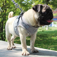 HKM-752787 Reflective and Breathable Pet Harness for Dogs and Cats - Adjustable Size Options