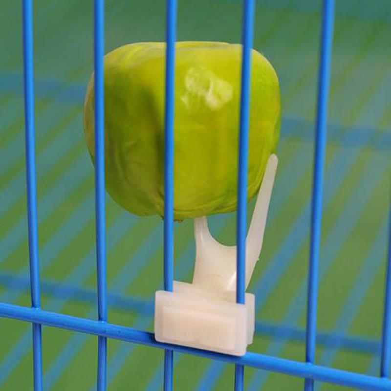 HKM-753555 Bird Fruit Forks for Small Animals - Plastic, 3.5cm Height, Easy to Clean and Refill, Set of 2
