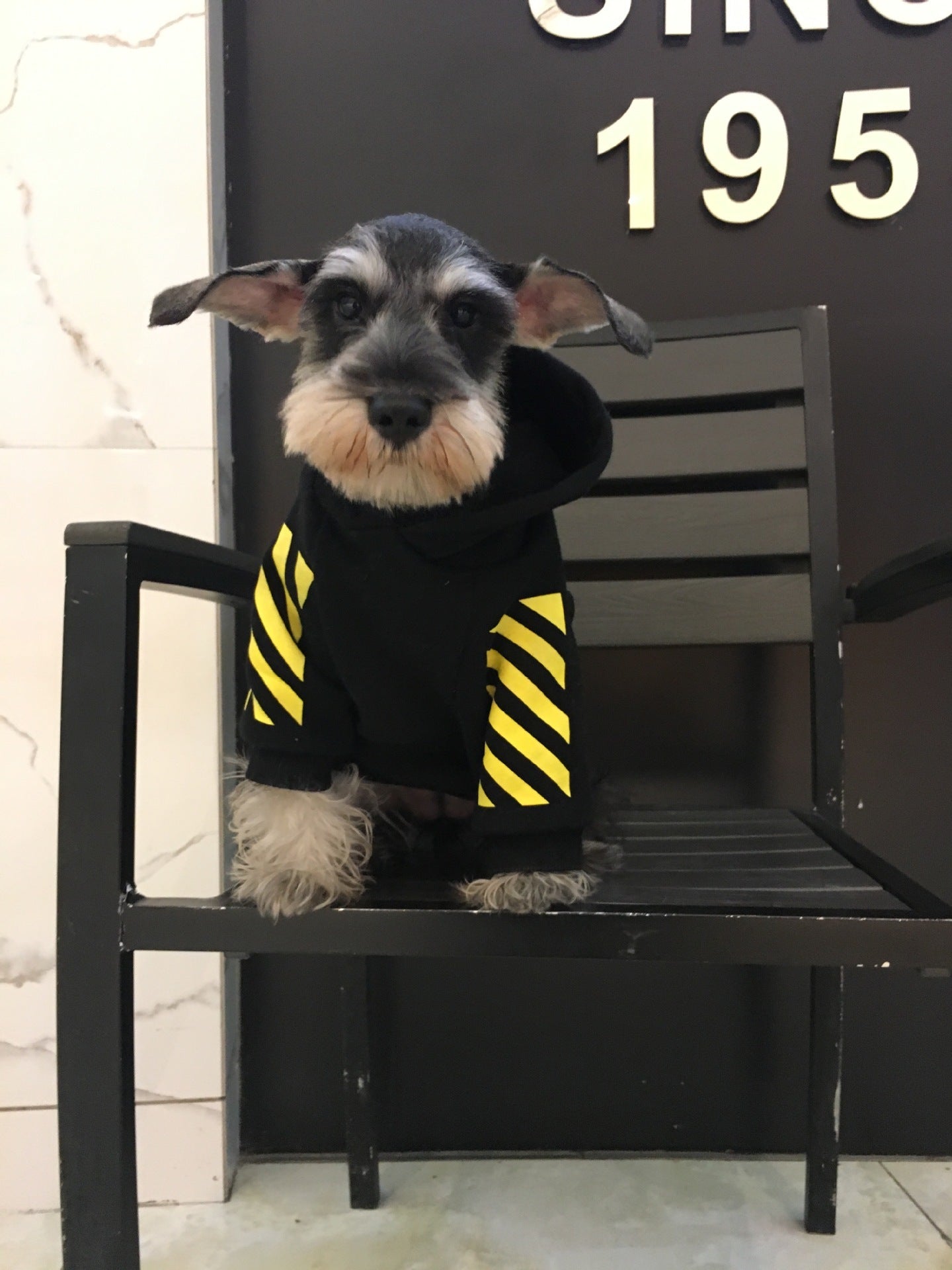 HKM-756947 Cozy Fleece Puppy Sweater with Hood, Black or White Options