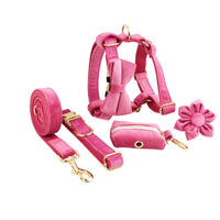 HKM-757267 Adjustable Velvet Fabric Dog Collar with Flower and Bow Accessories