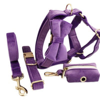 HKM-757267 Adjustable Velvet Fabric Dog Collar with Flower and Bow Accessories