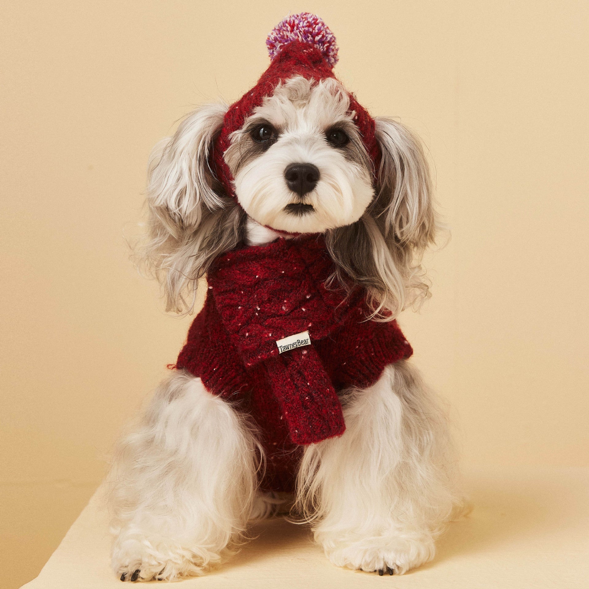 HKM-758483 Warm Wool Hat and Scarf Set for Pets, Available in S and L Sizes, Perfect for Winter