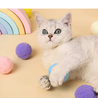 HKM-758675 Funny Cat High Elastic Color Plush Ball Gift Box