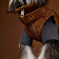 HKM-759699 Stylish Retro Sleeveless Leather Waistcoat for Small Dogs - Schnauzer Teddy Bichon Design