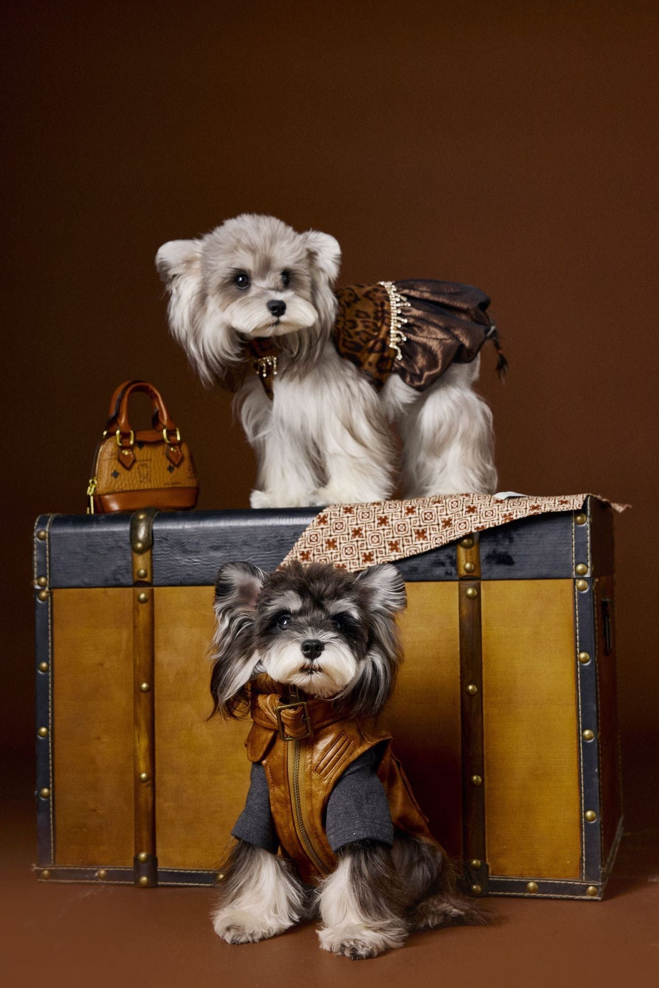 HKM-759699 Stylish Retro Sleeveless Leather Waistcoat for Small Dogs - Schnauzer Teddy Bichon Design