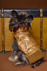 HKM-759699 Stylish Retro Sleeveless Leather Waistcoat for Small Dogs - Schnauzer Teddy Bichon Design