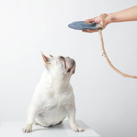 HKM-760659 Cattle Hide Dog Training Toy - Durable Vocal Play Companion