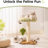 HKM-761171 2-in-1 Cat Scratching Post and Cozy Bed with Sisal Scratcher and Ball Track Toys, Green, Medium