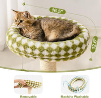 HKM-761171 2-in-1 Cat Scratching Post and Cozy Bed with Sisal Scratcher and Ball Track Toys, Green, Medium