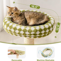 HKM-761171 2-in-1 Cat Scratching Post and Cozy Bed with Sisal Scratcher and Ball Track Toys, Green, Medium