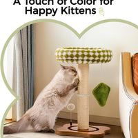 HKM-761171 2-in-1 Cat Scratching Post and Cozy Bed with Sisal Scratcher and Ball Track Toys, Green, Medium