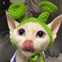 HKM-761363 Knitted Pet Headdresses - Fun Frog, Pig, Tiger, Floral & More Designs