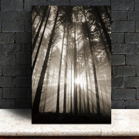 HKM-764819 Nordic Style High Definition Canvas Art Print for Home Decoration