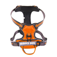 HKM-766163 Personalized Oxford Cloth Chest Strap for Dogs – Available in Blue, Black, and Green