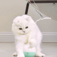 HKM-766739 Pet funny cat toy electric funny cat stick tumbler leaking ball toy