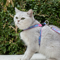 HKM-767315 Pet Cat and Small Dog Chest Strap Leash Package with Adjustable Vest and Rope