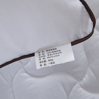 HKM-768403 Buckwheat Dual-Purpose Pillow with Super Soft Fabric and Natural Filling, 48x74cm
