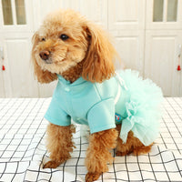 HKM-768723 Lady's Lake Blue Gauze Skirt with White Bow - Pet Clothing for Cats, Sizes XS-XL